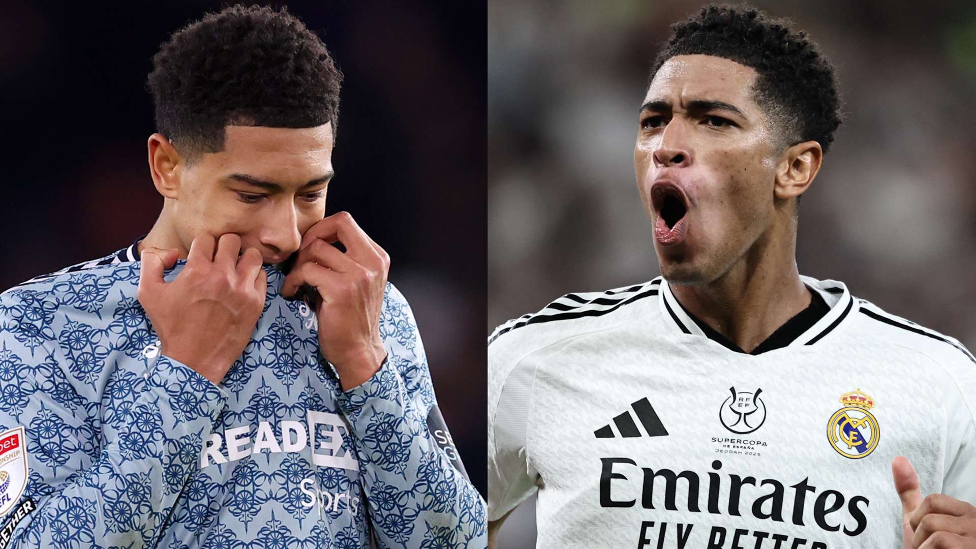 维蒂尼亚展 维蒂尼亚展