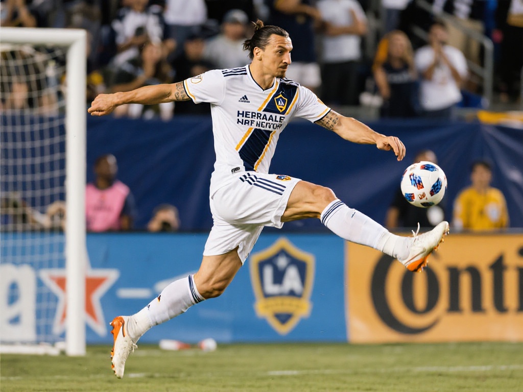 比赛进入点 比赛进入点